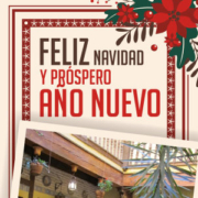 Navidad 2017 - Patios de Toledo