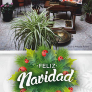 Navidad 2015 - Patios de Toledo